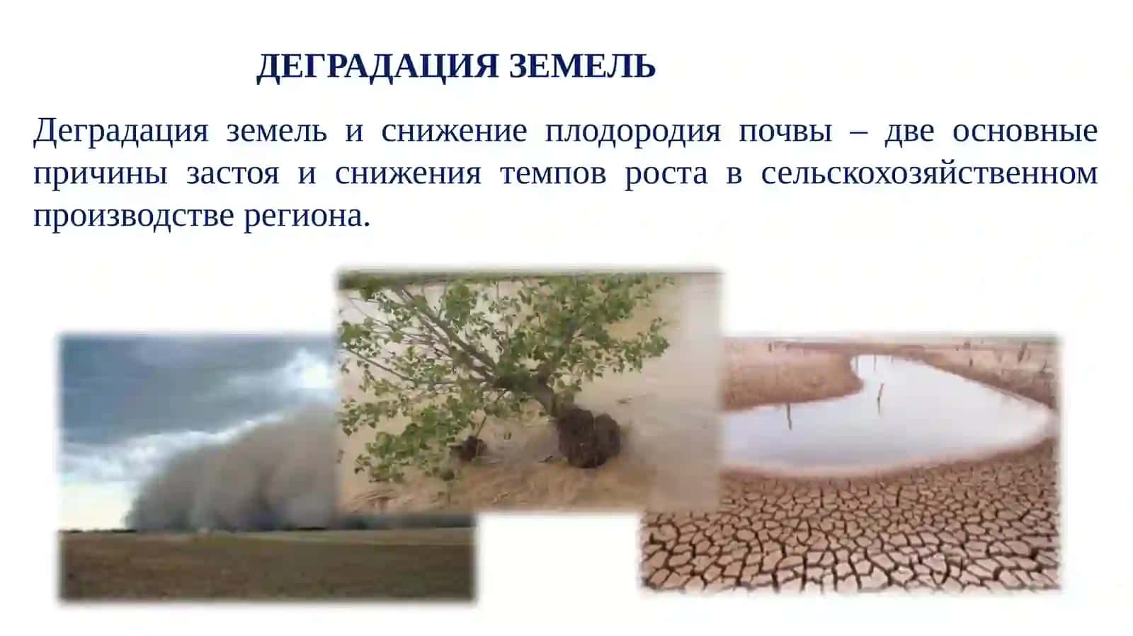 Лекция №4Тема: Деградация и защита почвы 3