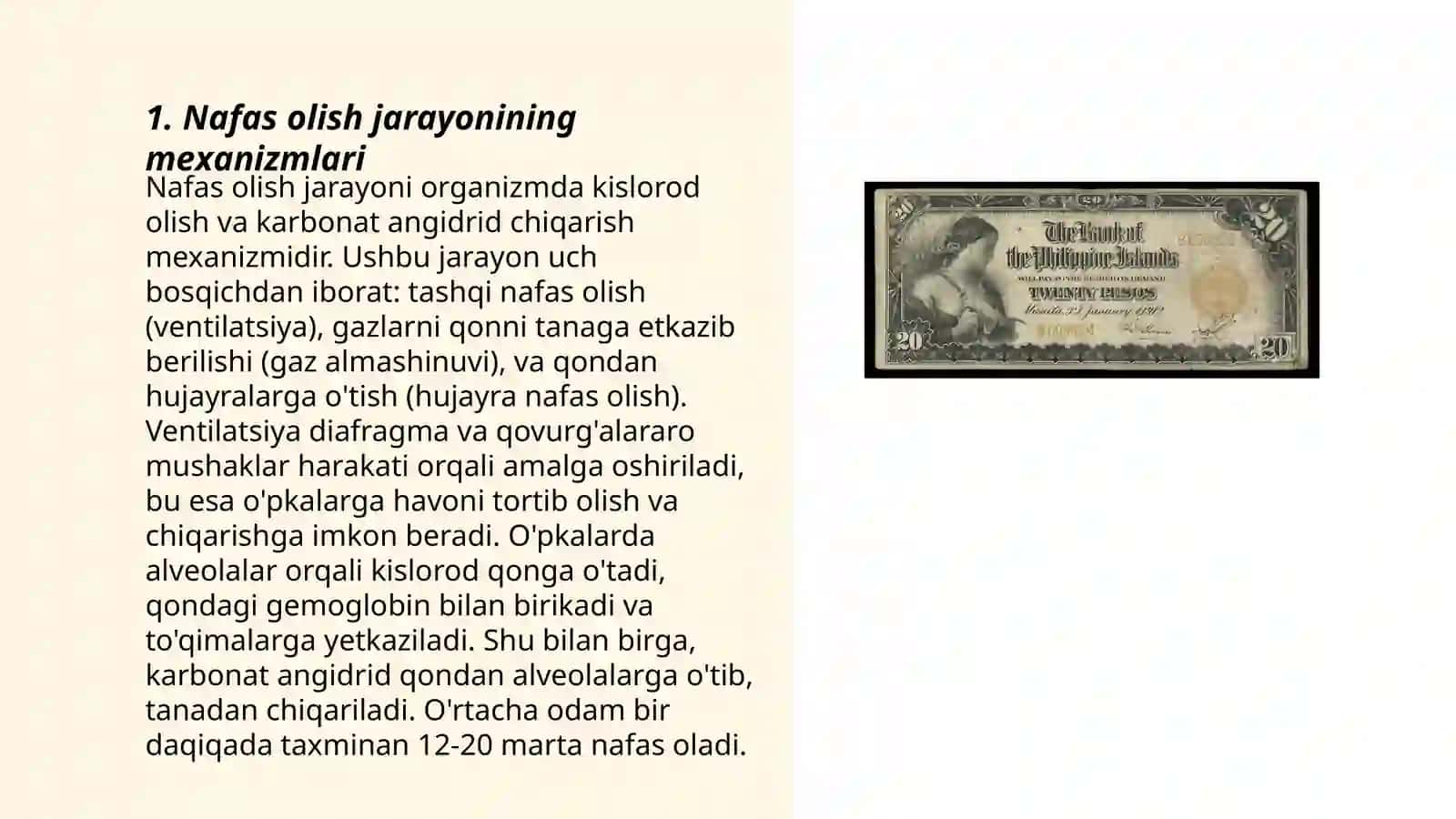 Nafas olish jarayonlari. A.BAX va V.Palavin nazariyasi 3