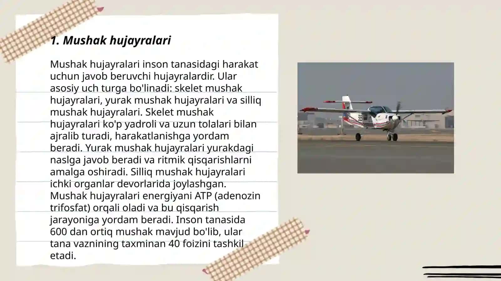 Mushak to'qimasi 3