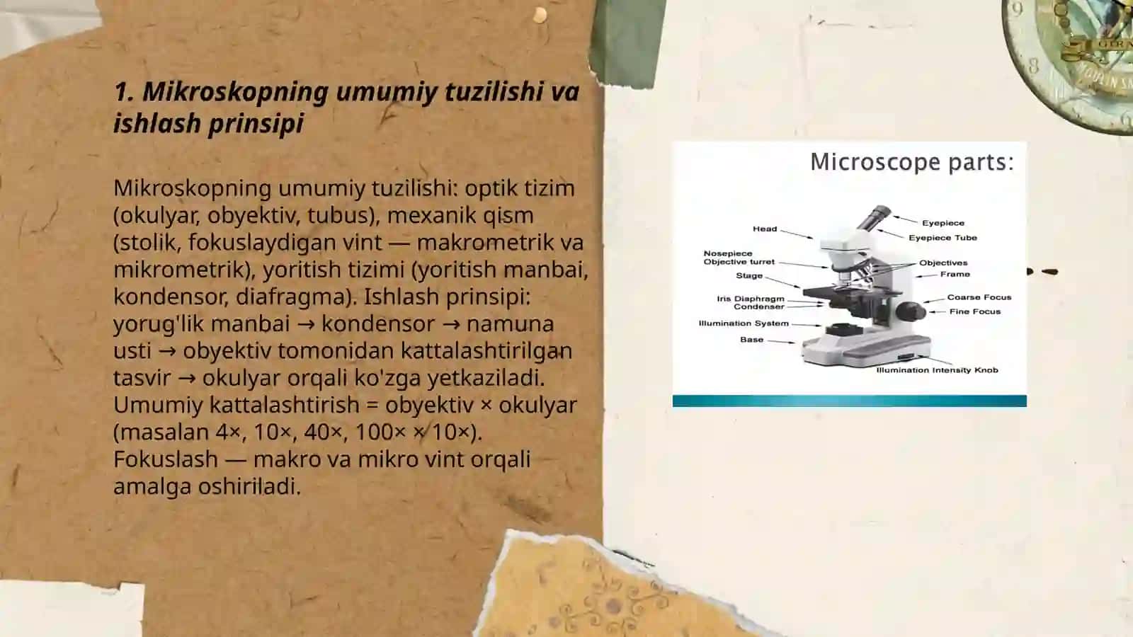 Mikrokop tuzilishi va uning asosiy qismlari va shu haqida 3