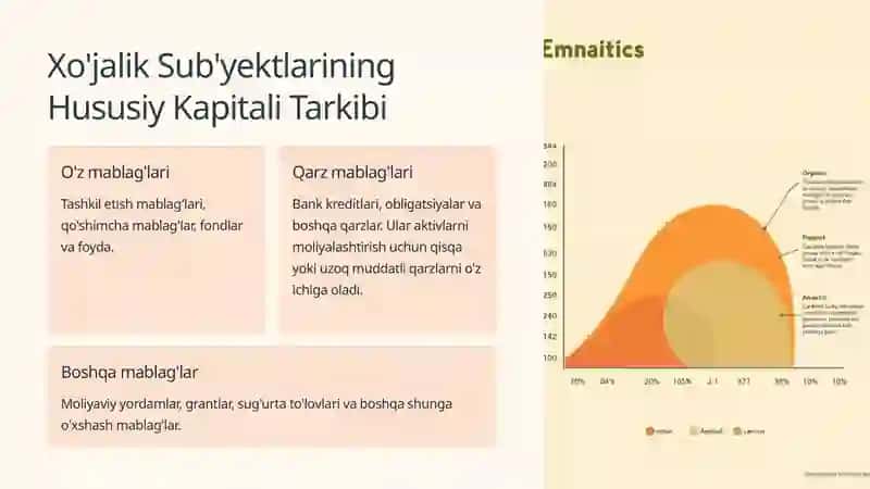 Xo'jalik Sub'yektlarining Hususiy Kapitali Tahlili 3