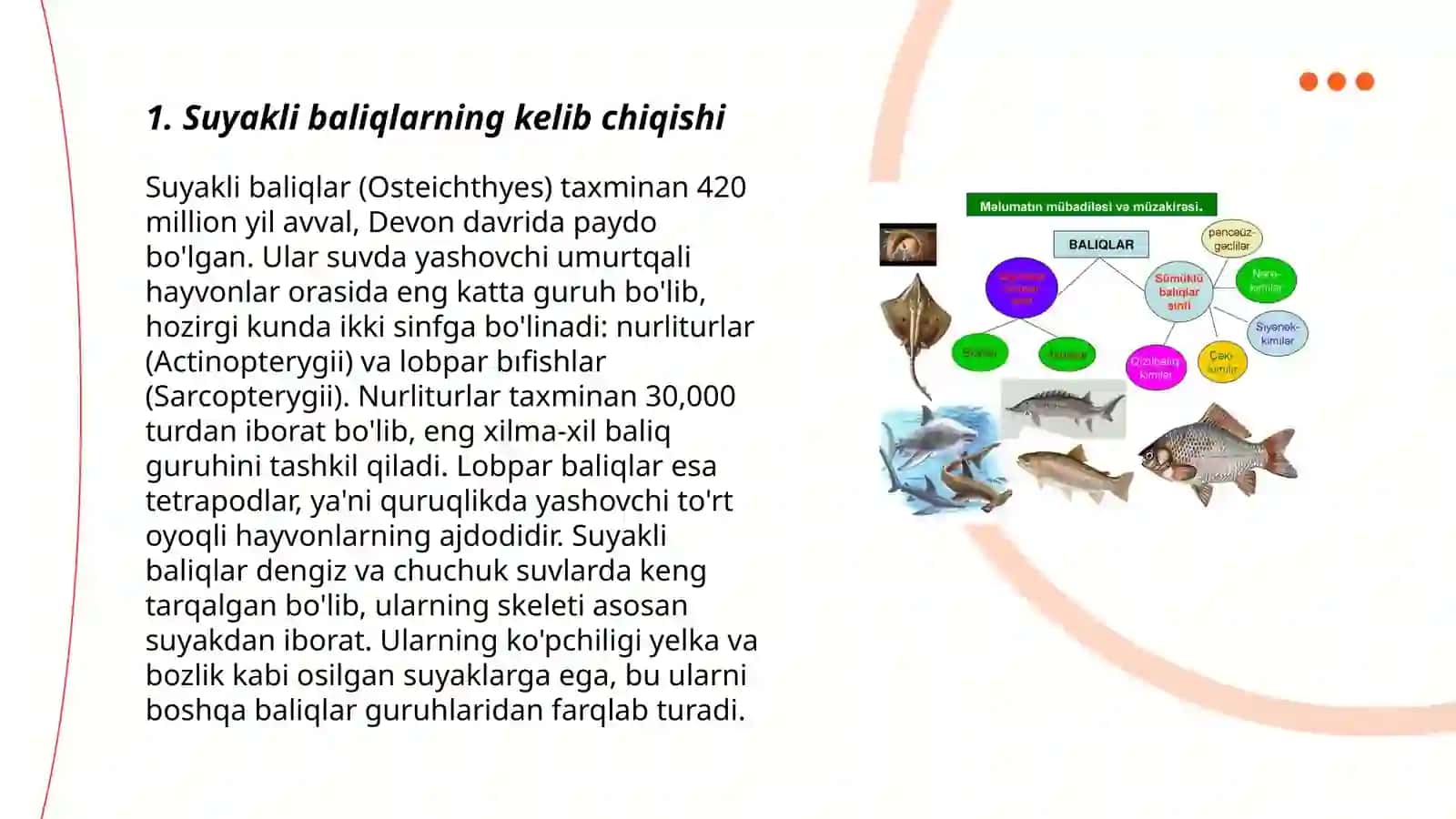 Suyakli baliqlarning kelib chiqishi sistemasi va evolyutsiyasi 3