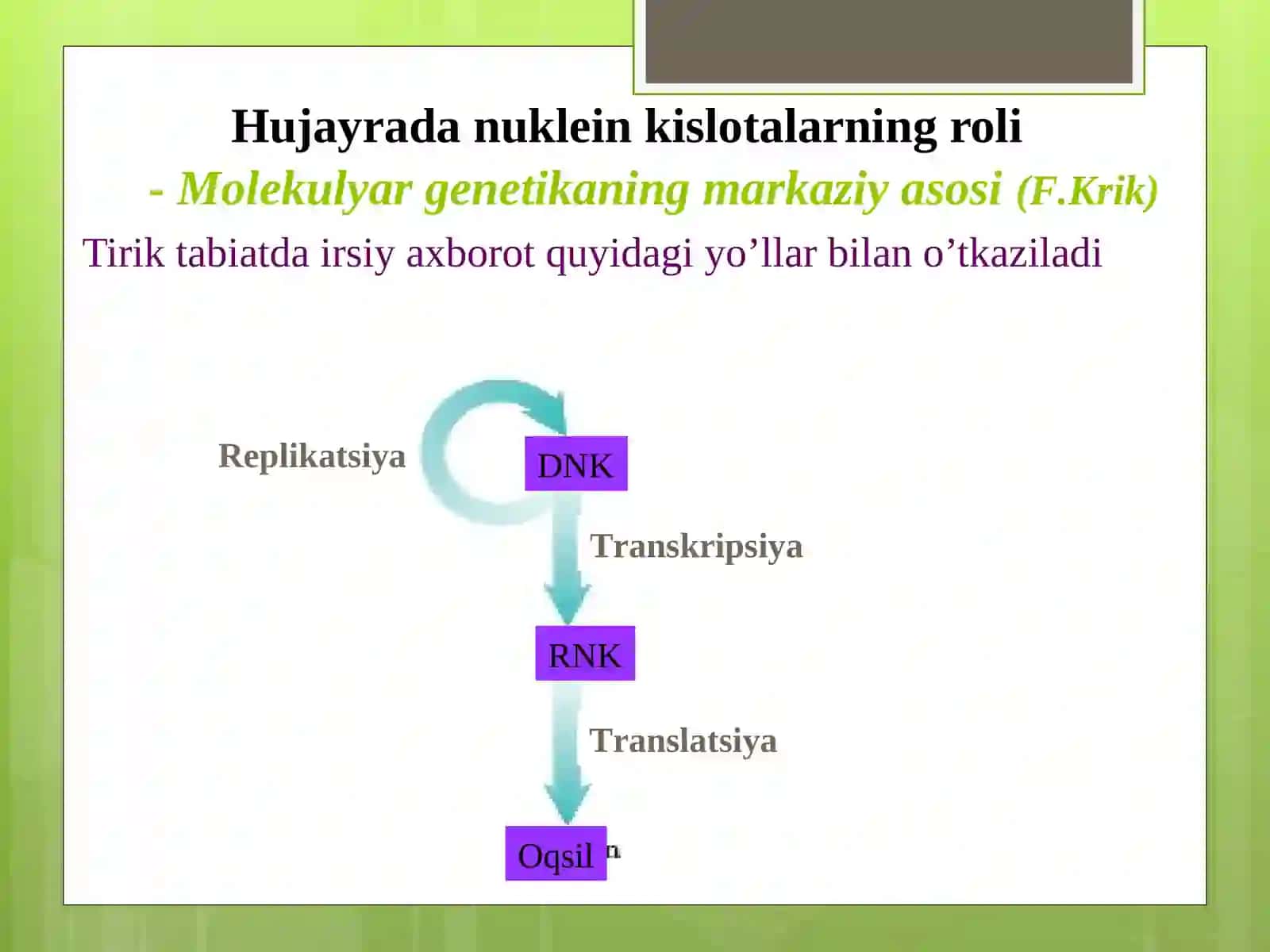 9-sinf Biologiya fanidan dars ishlanma. Nuklein kislotalar 3