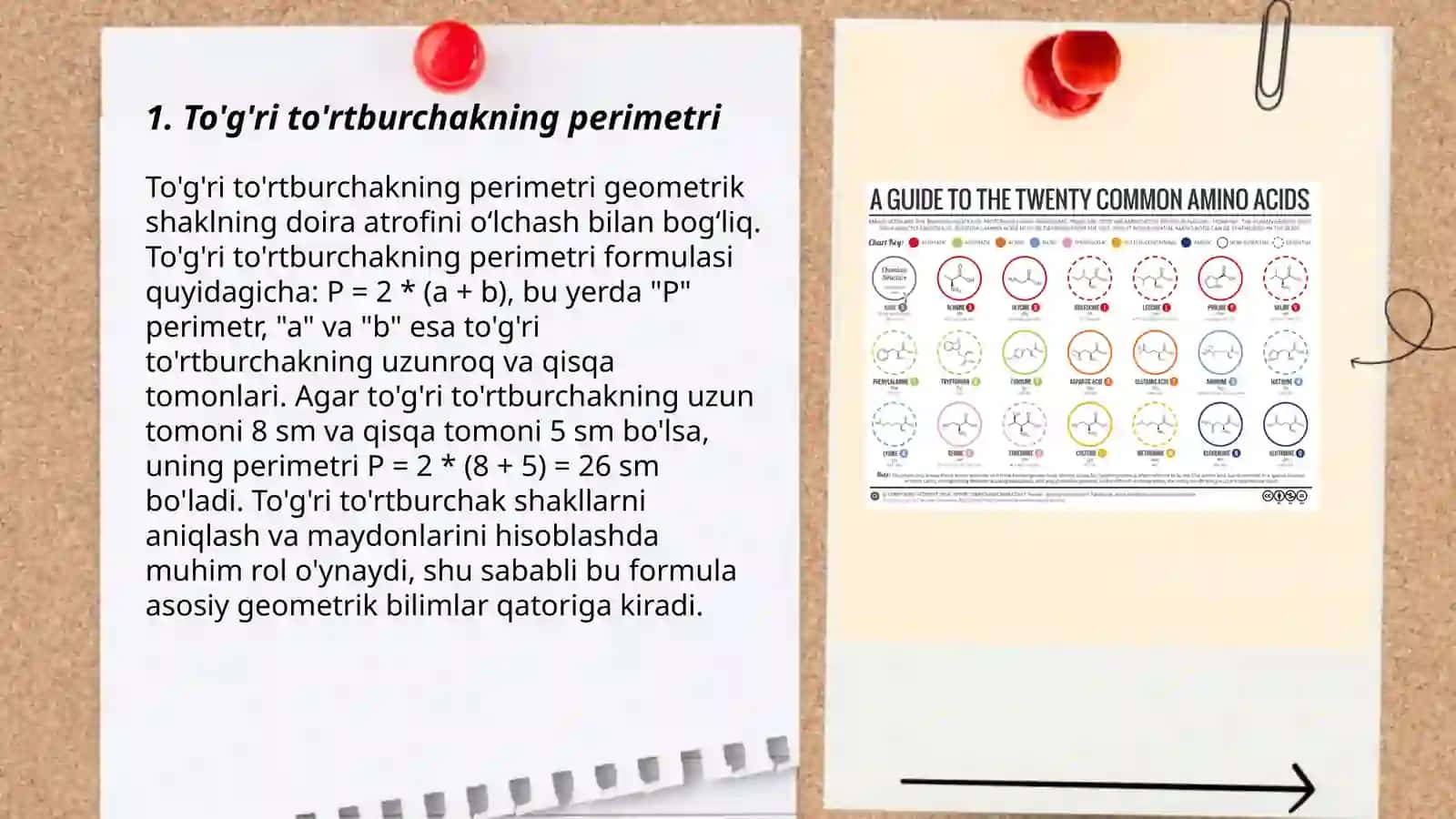 "Geometrik shakllar va oʻlchashlar" mazmun topshiriqlari 3