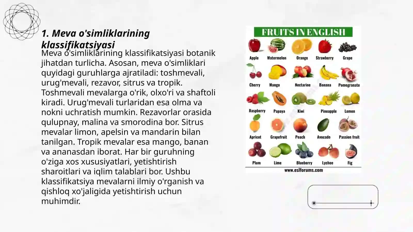 Meva o'simliklarini turlari va ularni rivoilantirish 3