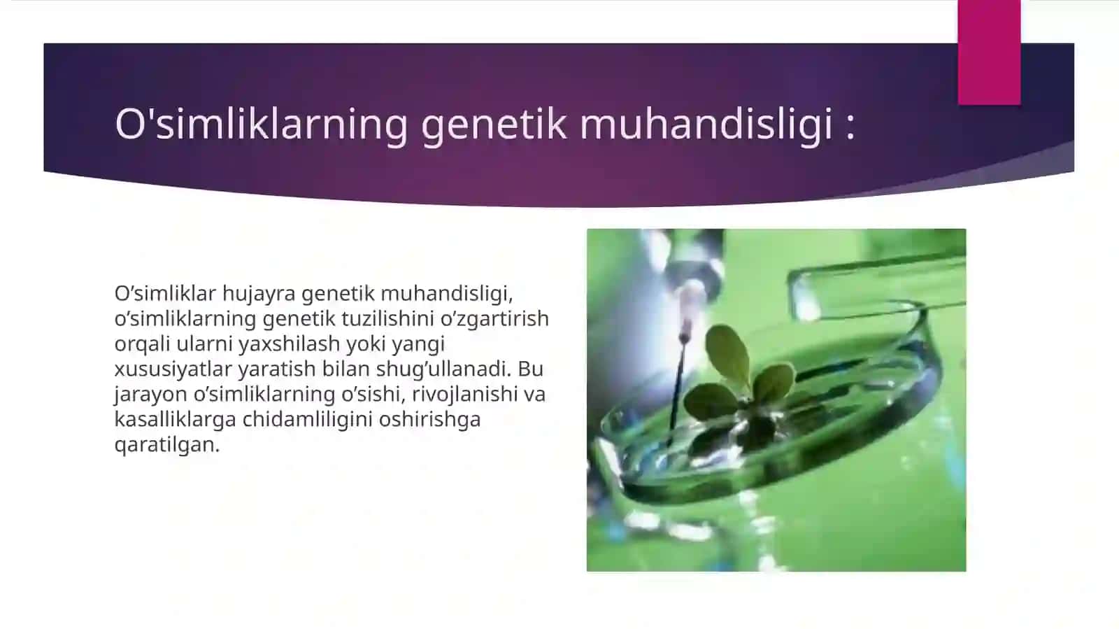 O'simliklar va hayvonlarning hujayra genetikmuhandisligi 3