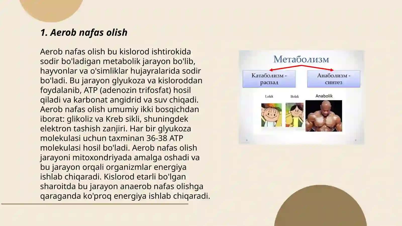 Metabolizm jarayonida energiya hosil bo'lishi va sarflanishi 3