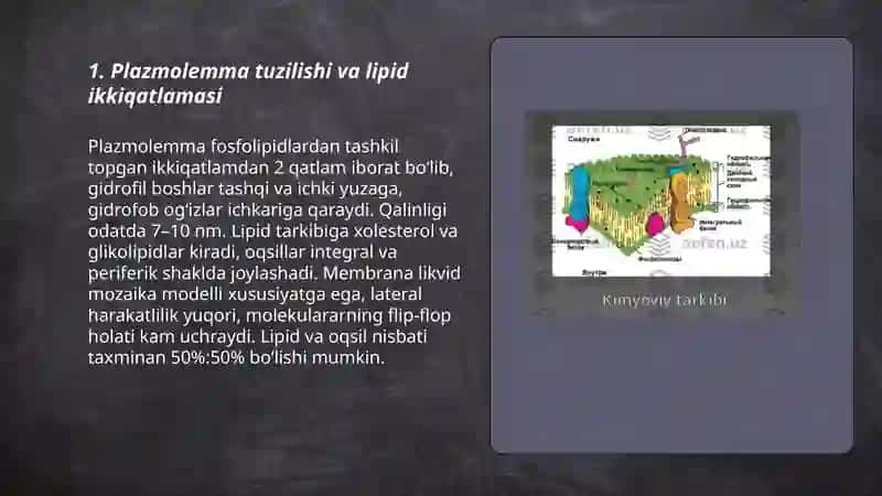 Plazmolemma va biologik membranalar tuzilishi.Hujayralararo bogʻlanish turlari 3
