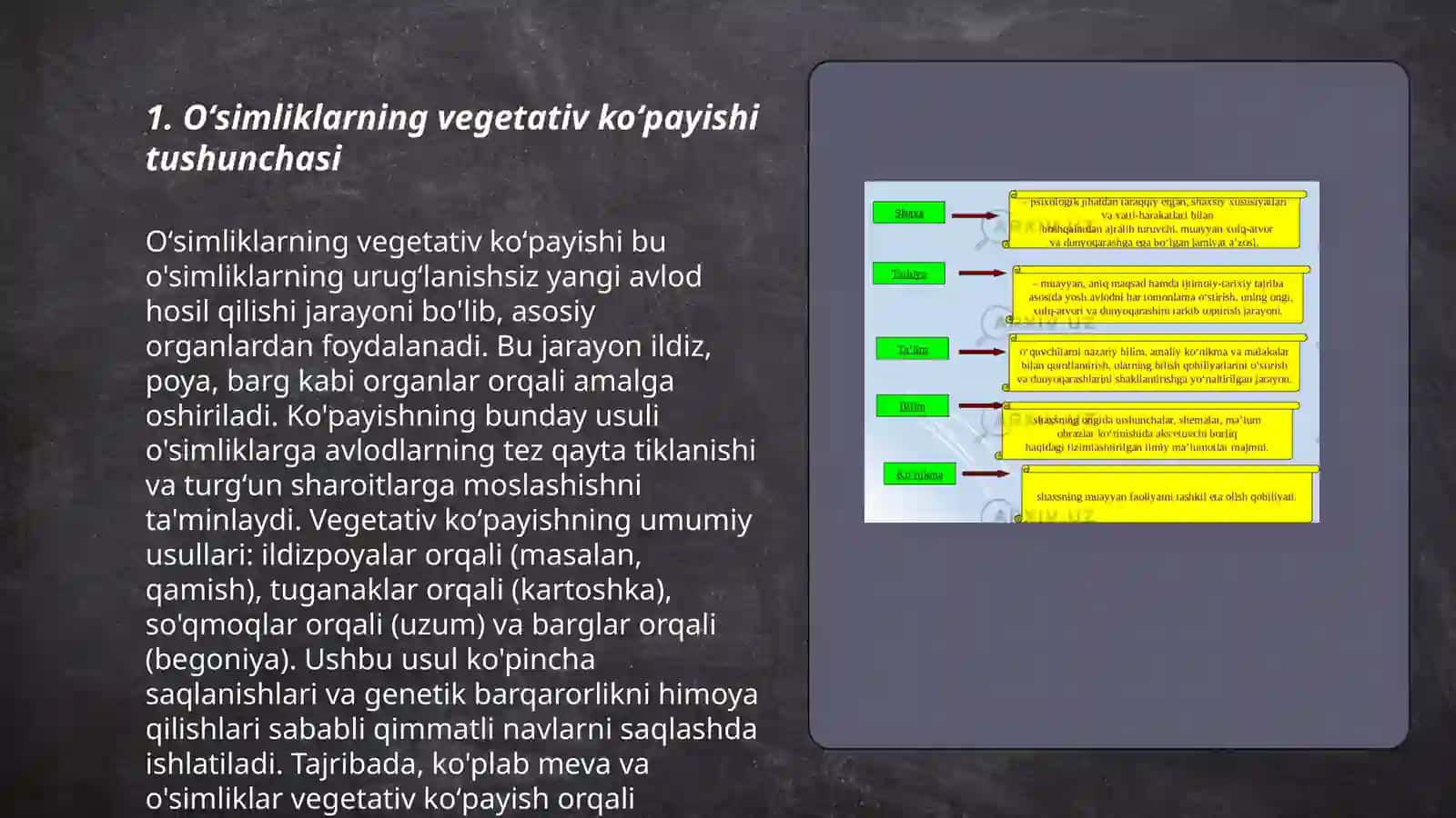 Oʻsimliklarda vegetativ,jinsiz va jinsiy koʻpayishning mohiyati va ularning qishloq xoʻjaligidagi ahamiyati 3