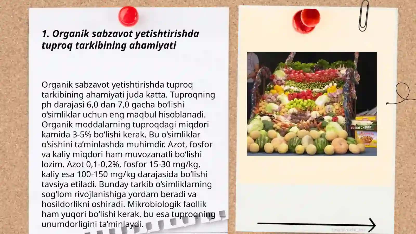 Organik sabzavotchilikda yetishtiriladigan ekin turlarining bogʻliqlik tomonlari 3