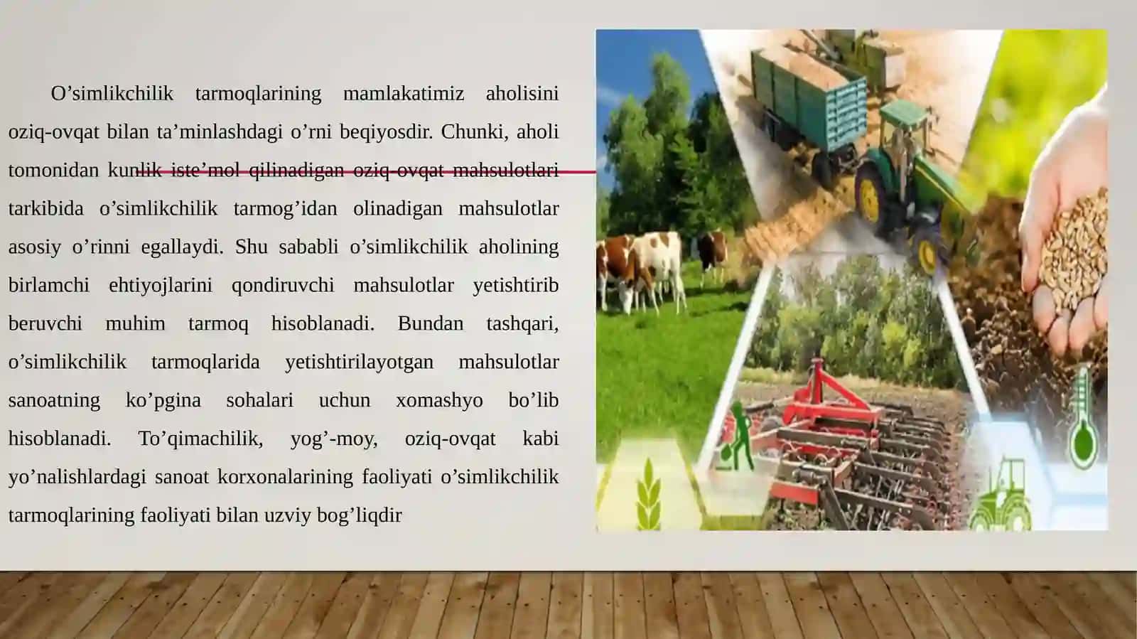 O'simlikchilik tarmoqlari va ularning mamlakatimiz iqtisodiyotidagi ahamiyati 3