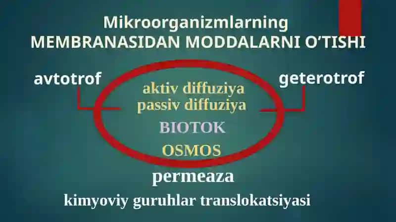 Mikroorganizmlar fiziologiyasi 3