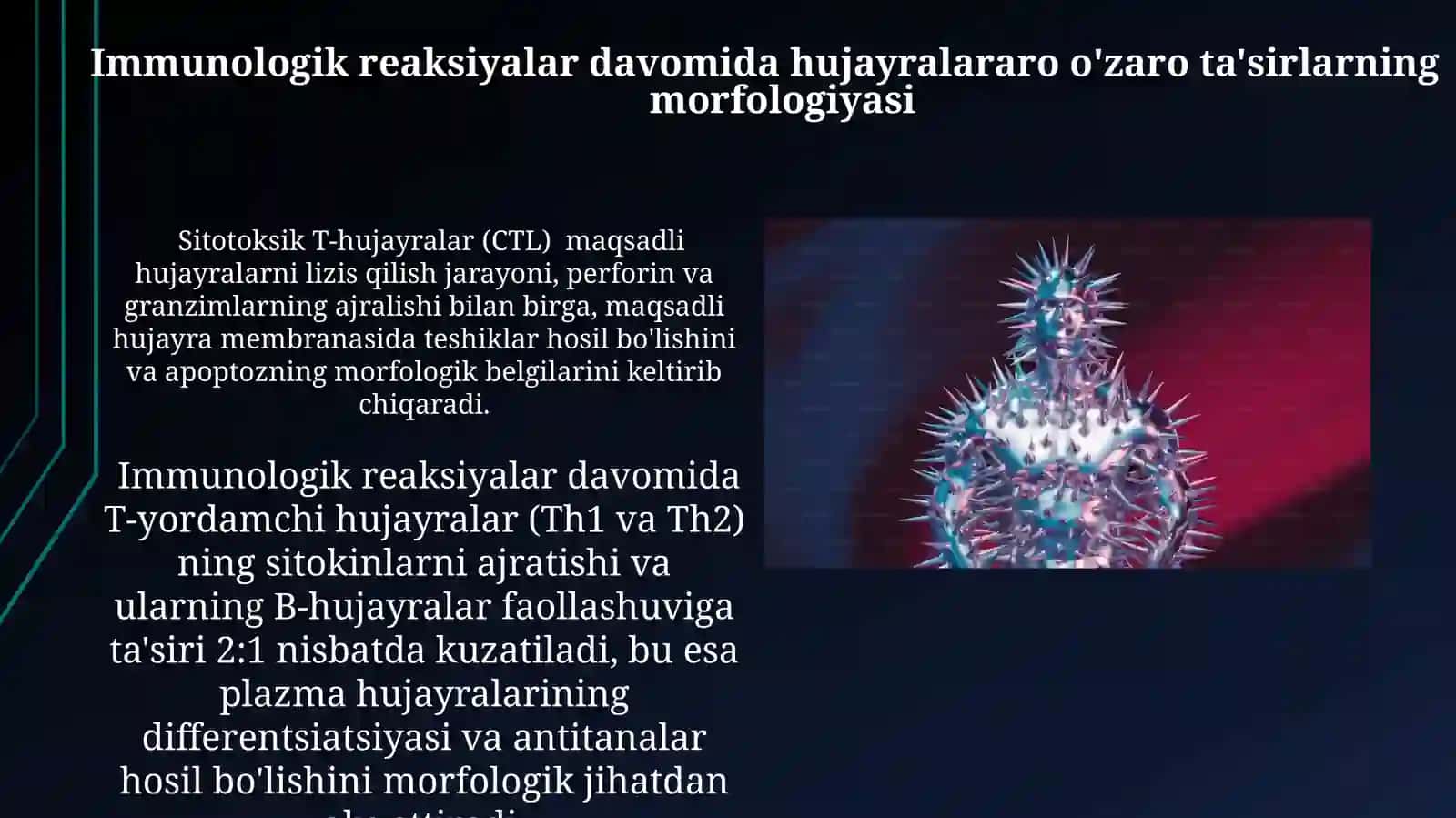 Immunologik Reaksiyalarning Morfologik Asoslari 3