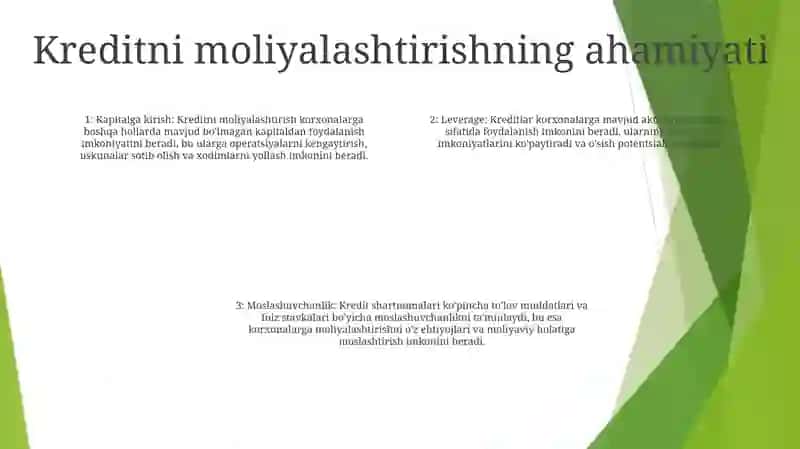 Qarz Mablag'Lari Hisobiga Invistitsiya Loyihalarini Moliyalashtirish 3