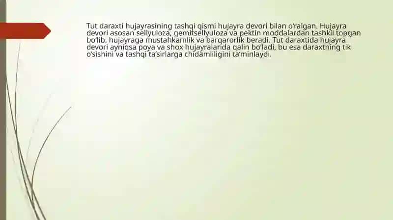 Tut daraxti hujayrasining organlardagi ma'lum funksiyalarning bajarilish jarayonlari 3