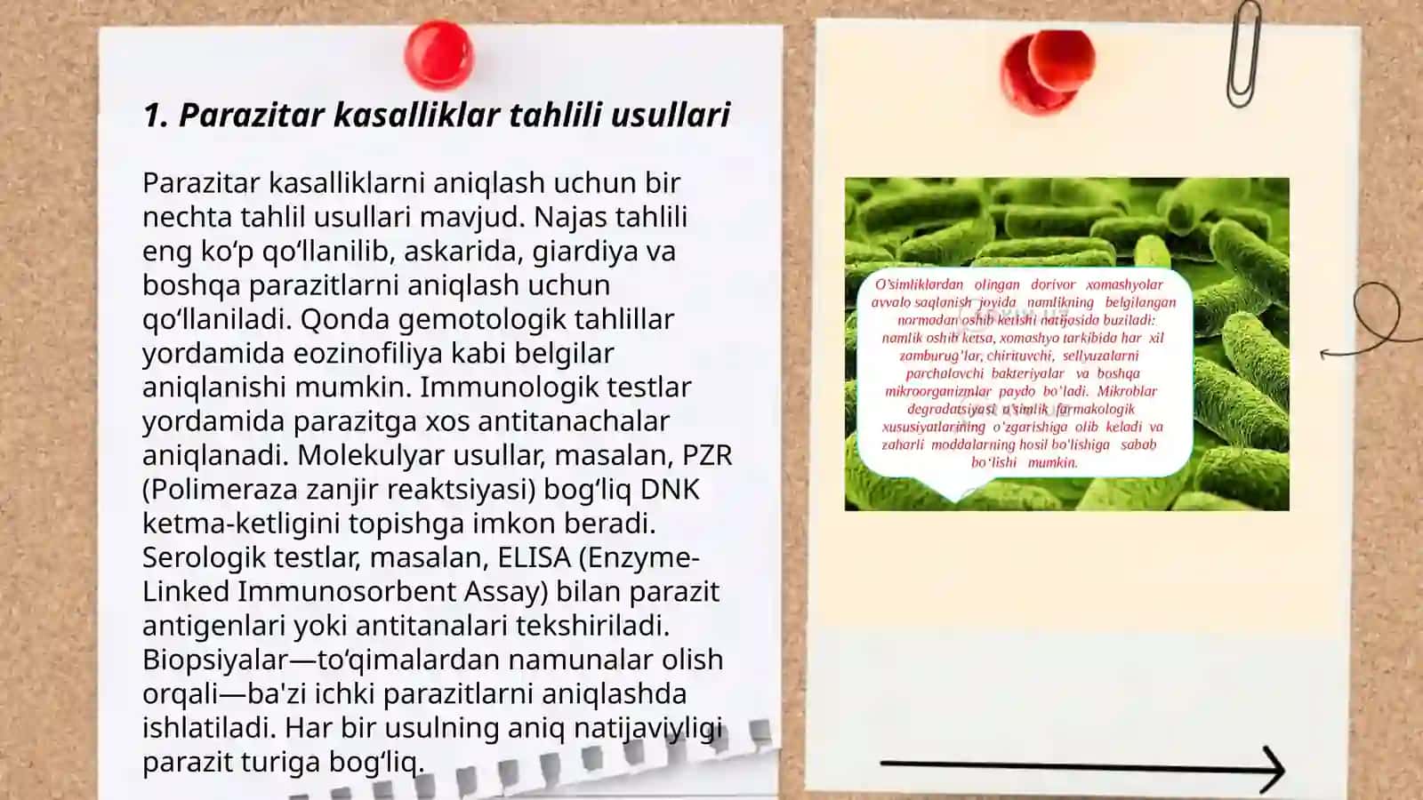 Parazitar kasalliklarning diagnostika usullari 3