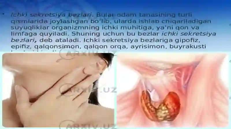 Ichki sekretsiya Bezlari 3