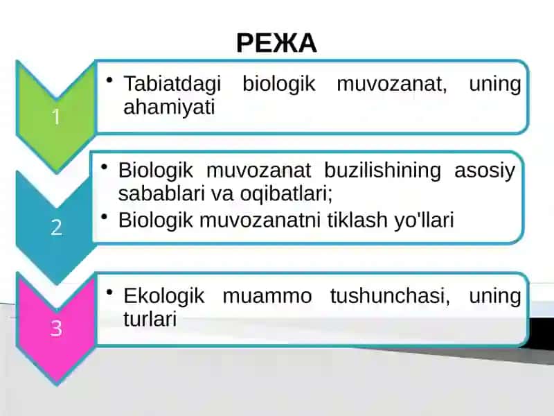 Tabiiy ekosistemalarda biologik muvozanat va suktsessiya, uning axamiyati va buzilish sabablari 3
