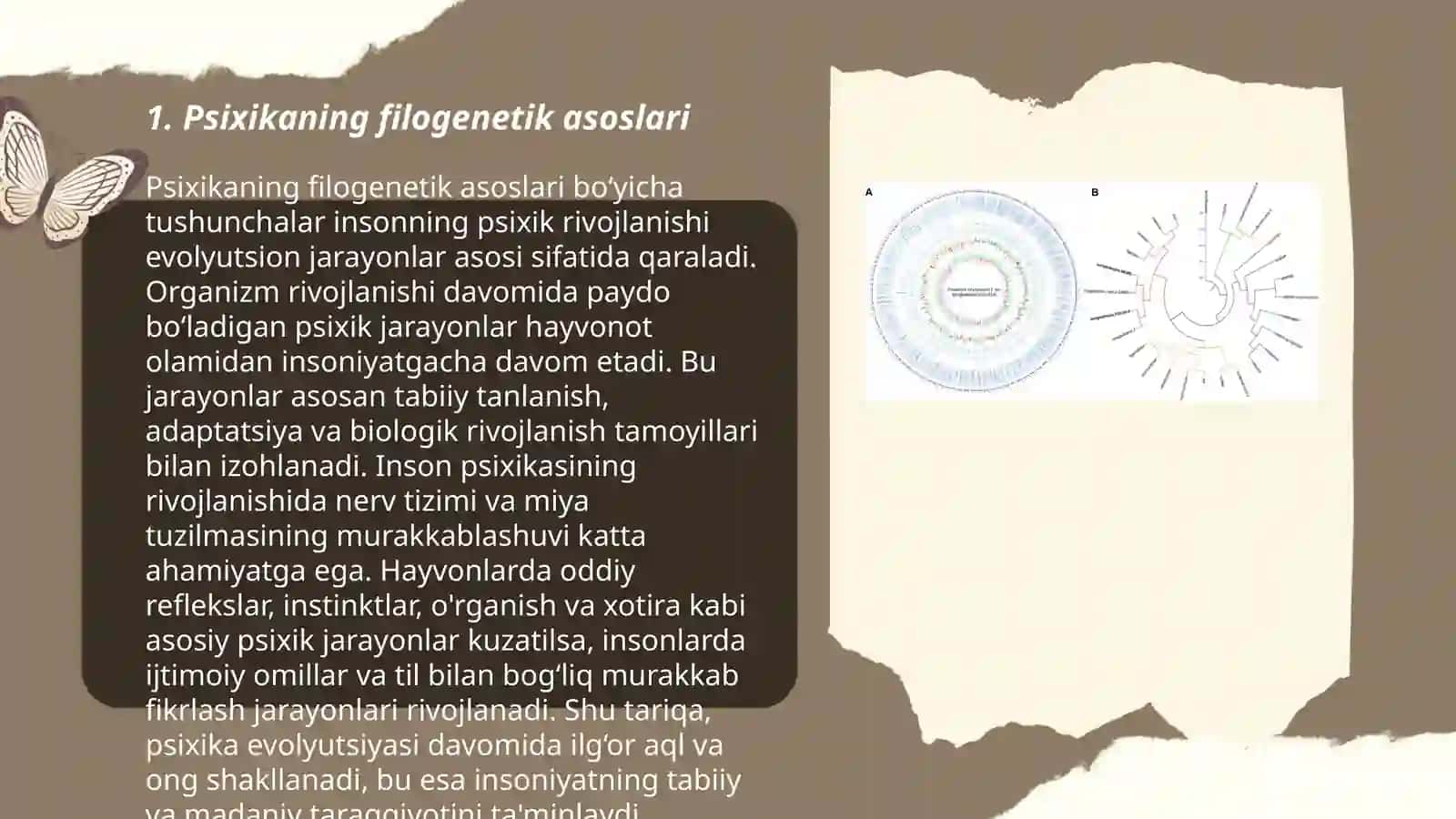 Psixikaning filogenetik taraqqiyoti 3