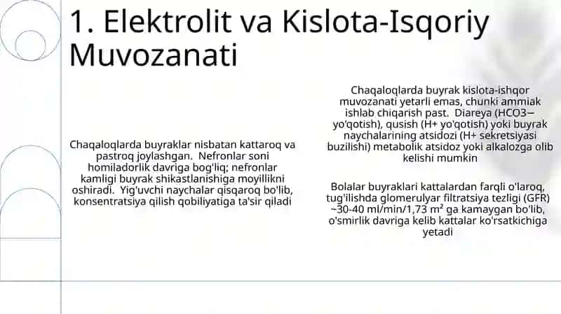 Bolalarda buyraklarni anatomo-fiziologik xususiyatlari 3