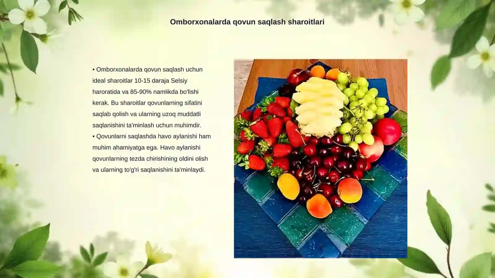 Omborxonalarda qovun va tarvuzni saqlash davridagi kasalliklar bilan tanishish 3