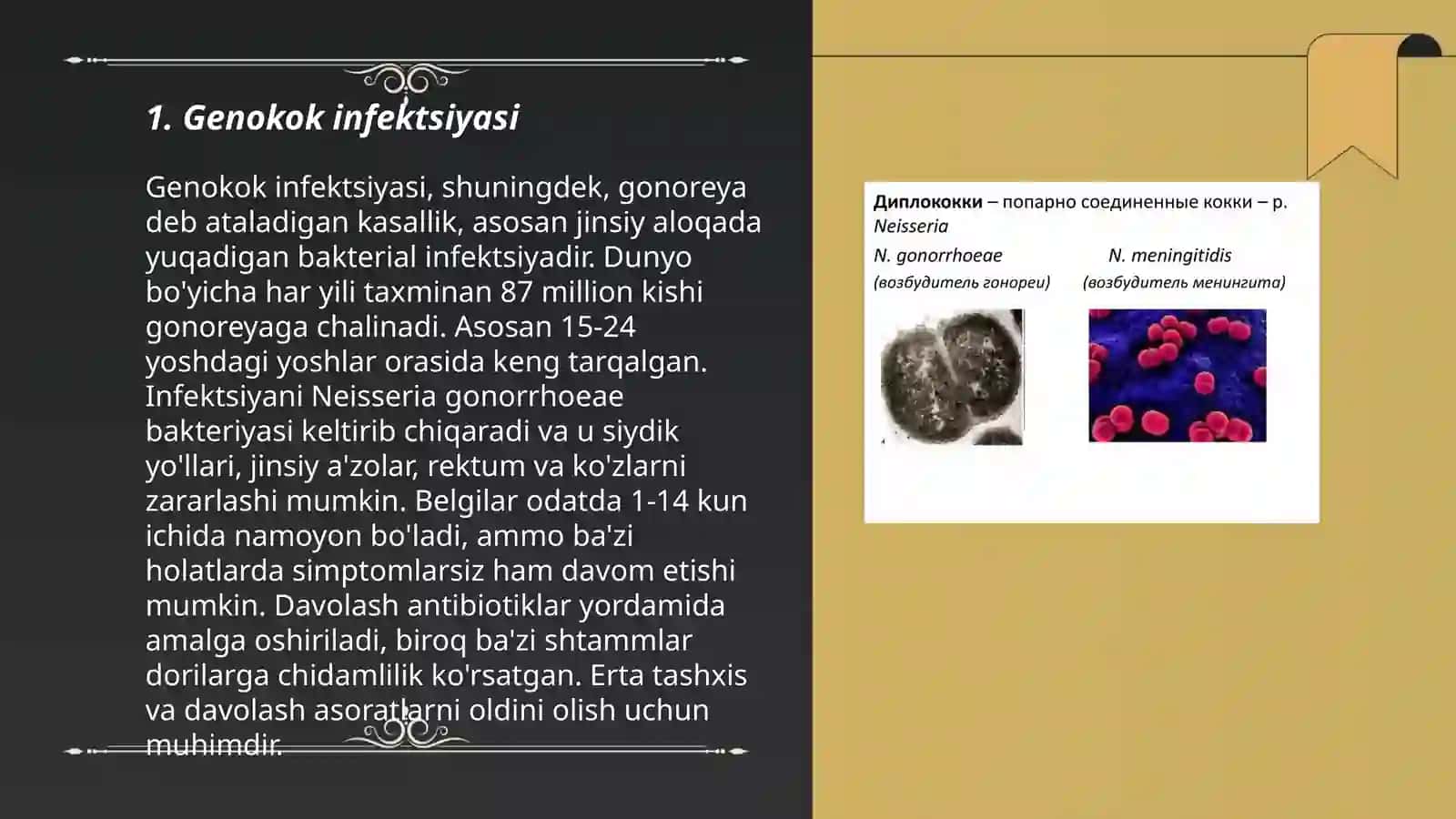 Genokokk pnevmokokk meningokokk 3
