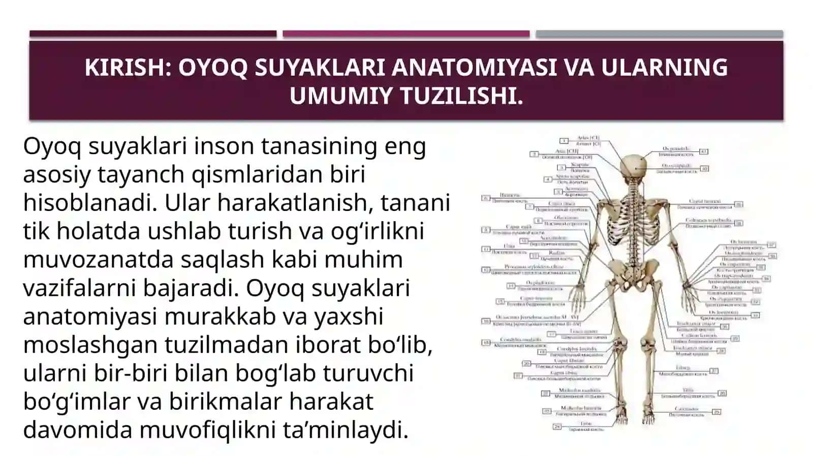 Oyoqsuyaklarining birlashuvi 3