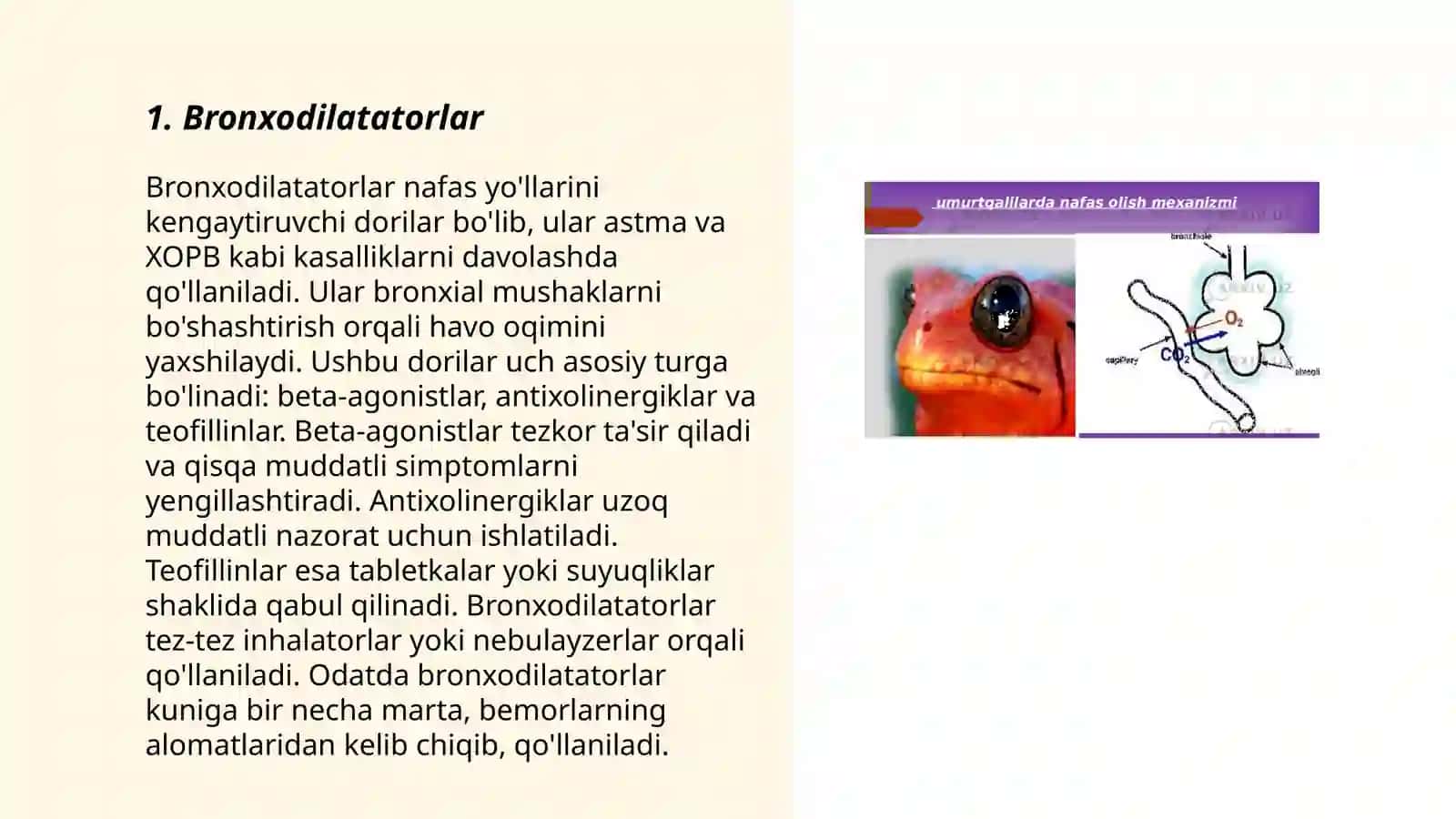 Nafas organlari faoliyatiga ta'sir qiladigan vositalar. Nafas stimulatorlari yoʻtalga qarshi vositalar 3