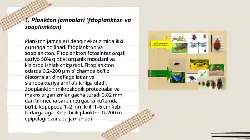 Dengizdagi organizmlar jamoalari 3