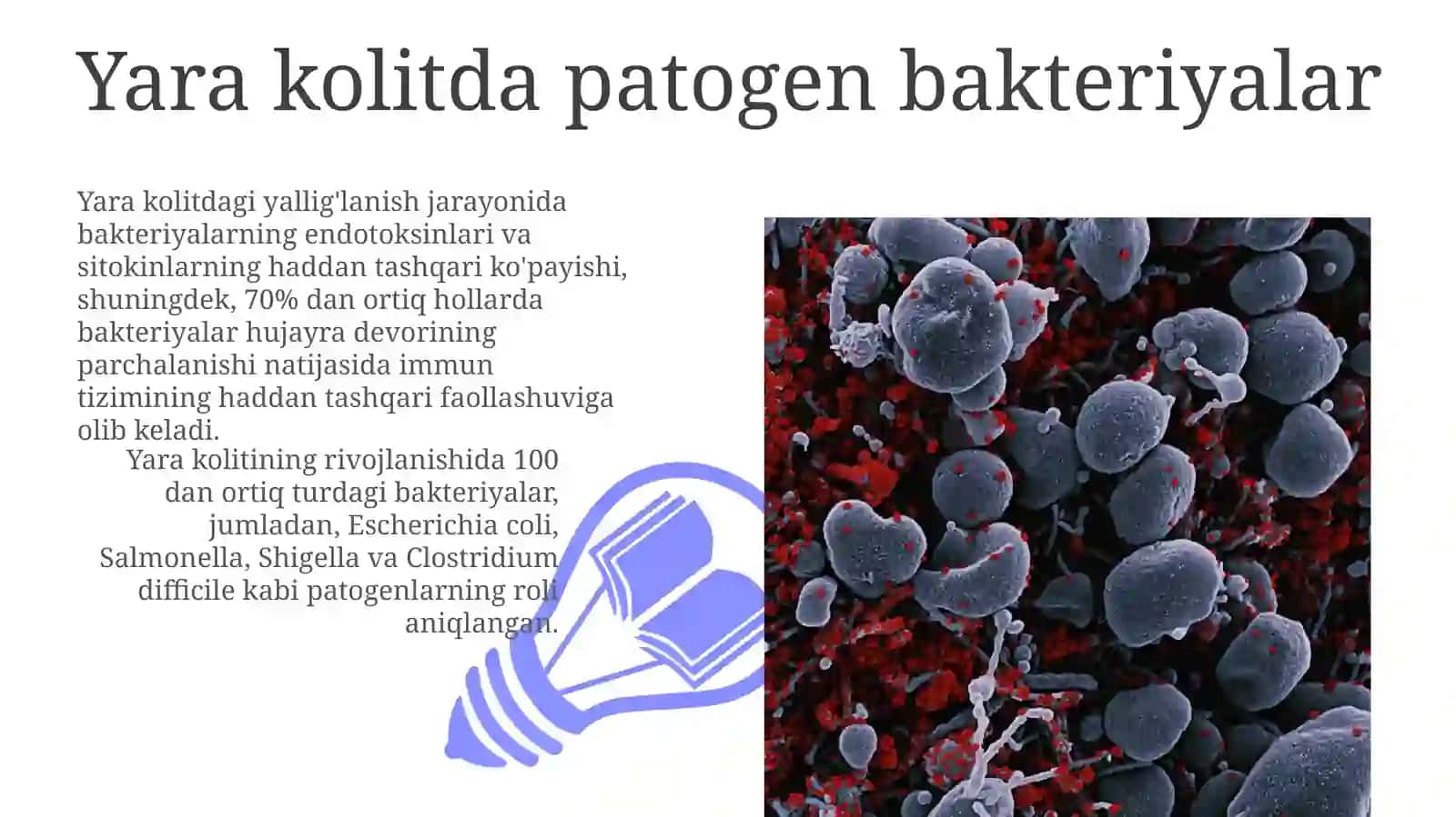 Yara Kolitda Patogen Bakteriyalar 3