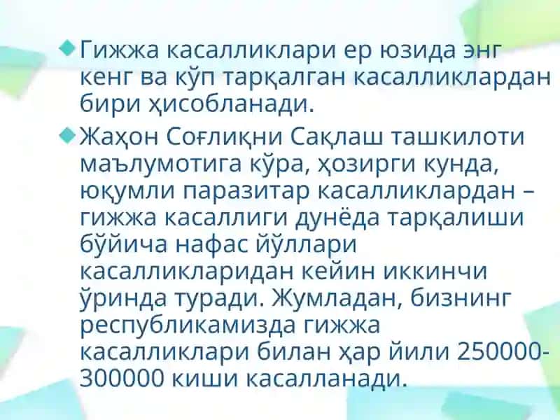 Гижжа инвазияси 3