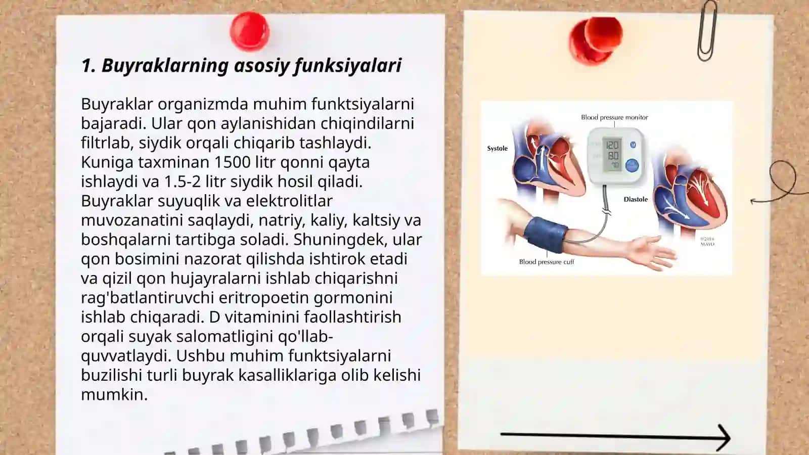 Buyraklarning asosiy funksiyalari 3
