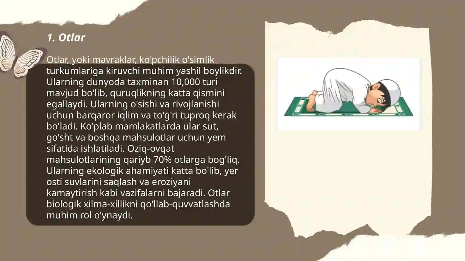Turli tillarda soʻz turkumlari 3