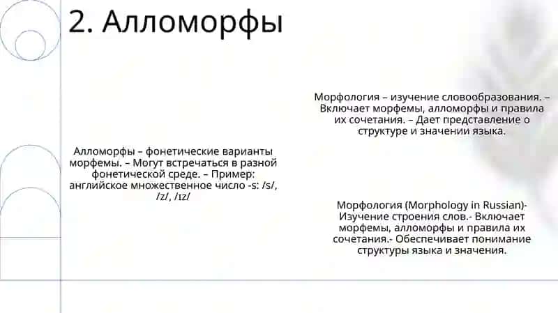 Морфология 3