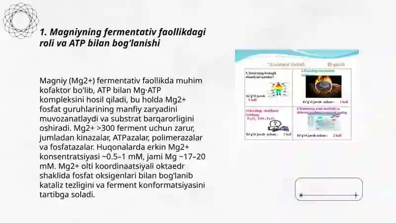 II-a guruhcha elementlarining biologik ahamiyati 3