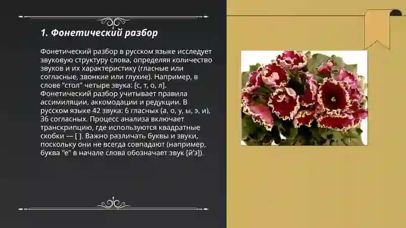 Виды языкового разбора на уроках русского языка 3