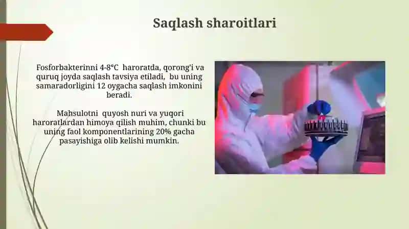 Fosforobakterin ishlab chiqarish texnologiyasi 3