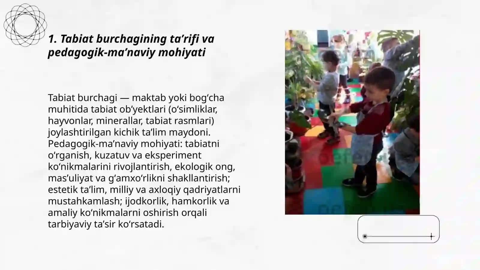 Tabiat burchagini tashkil etish mohiyati va unga qo'yiladigan talablar Ziyoda Abdukarimova 3