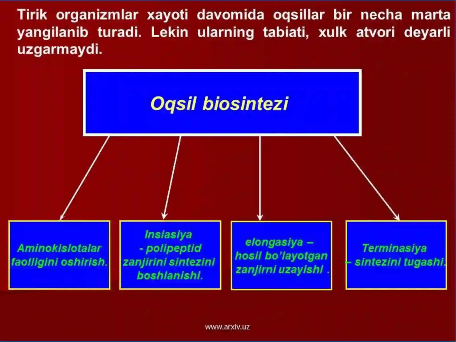 DNKning oqsil biosintezida gi'o'rni. Genetik injeneriya 3