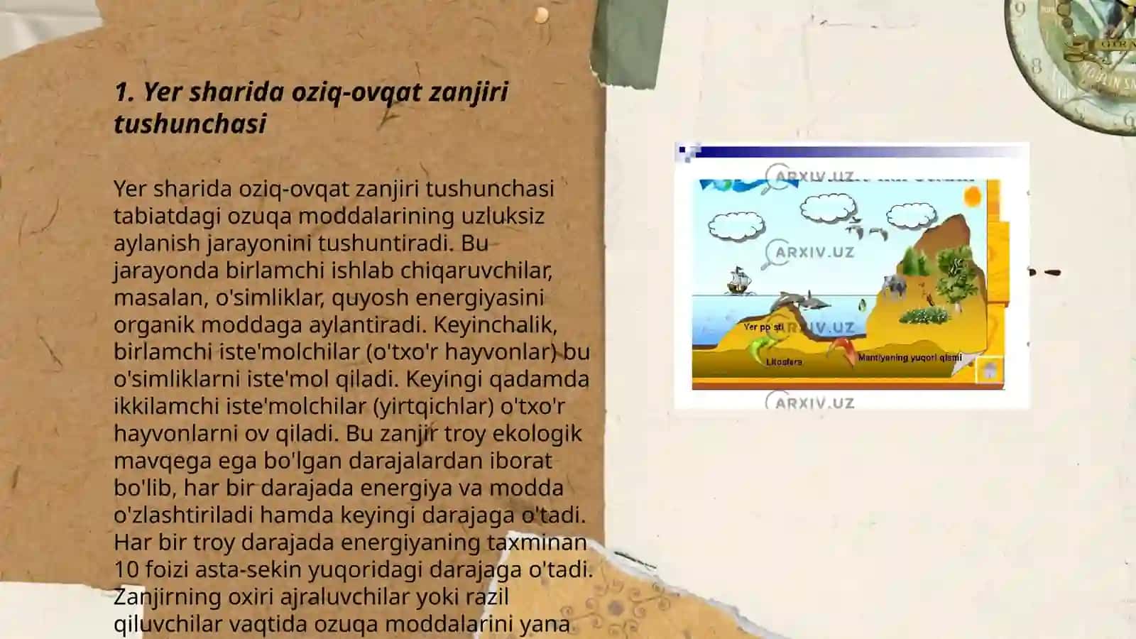 Yer sharida oziq zanjirining ahamiyati 3