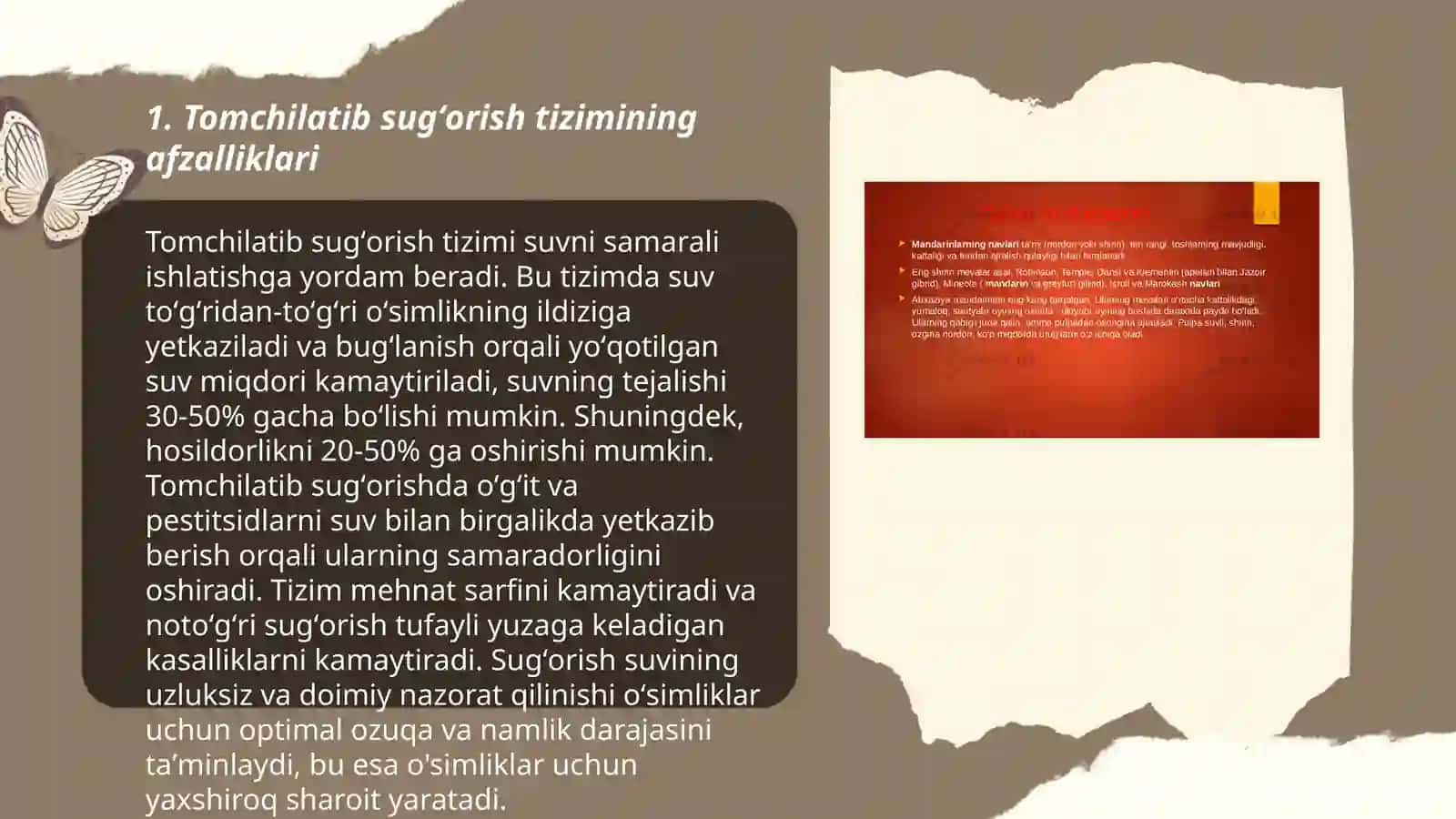 Tomchilatib sugʻorish tizimining afzalliklari 3