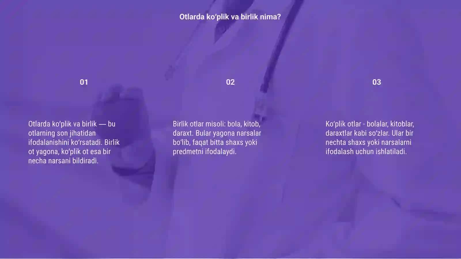 Otlarda koʻplik va birlik 3