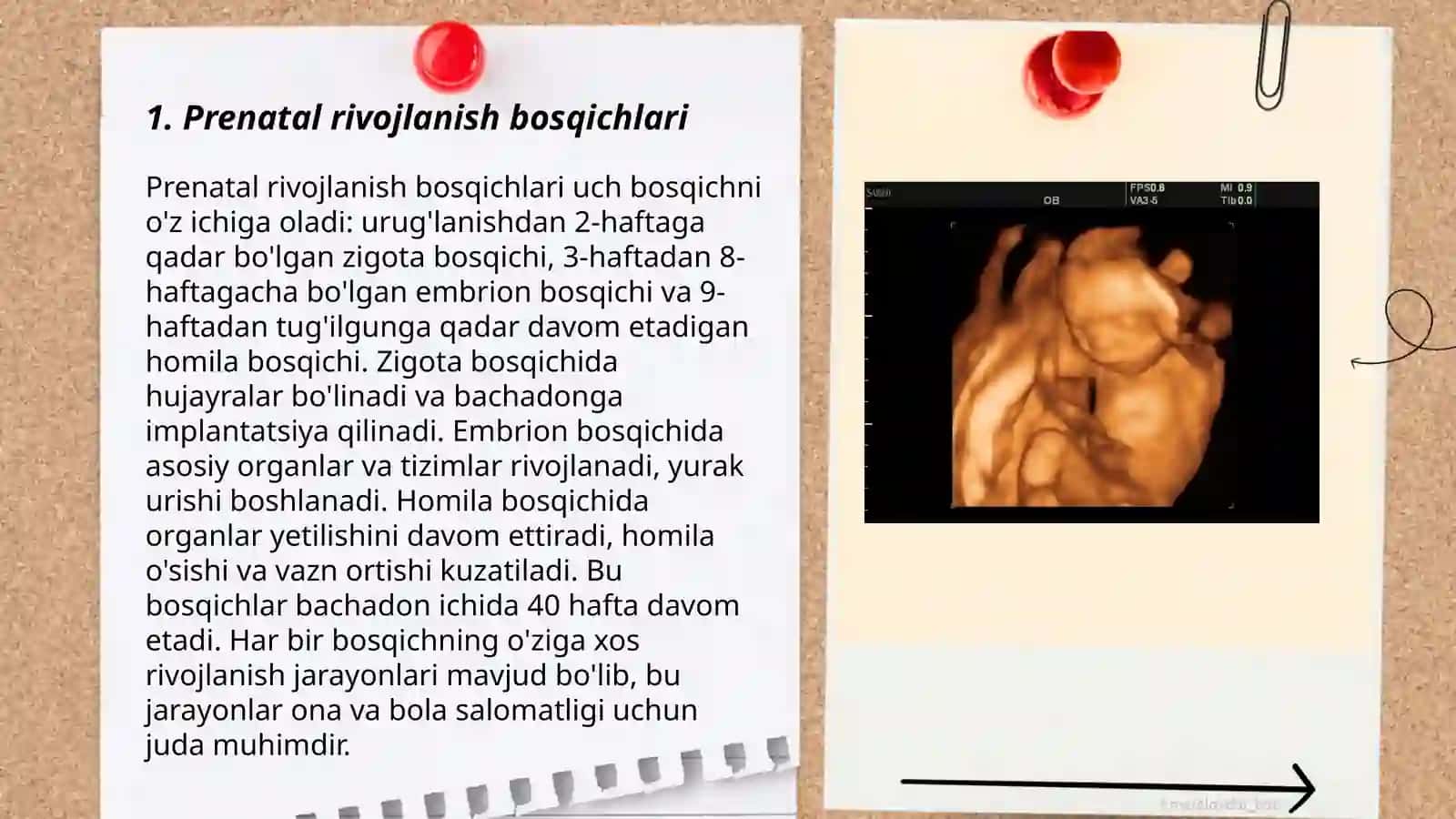 Prenatal va postnatal davrlar 3