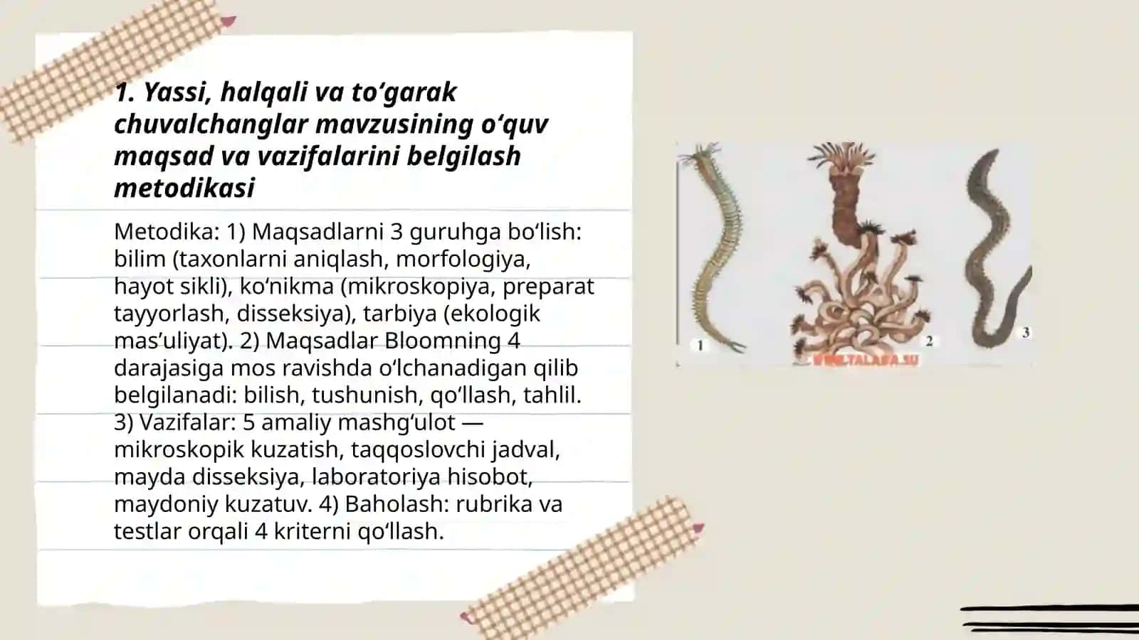 Zoologiya oʻqish metodikasi masalalari 3