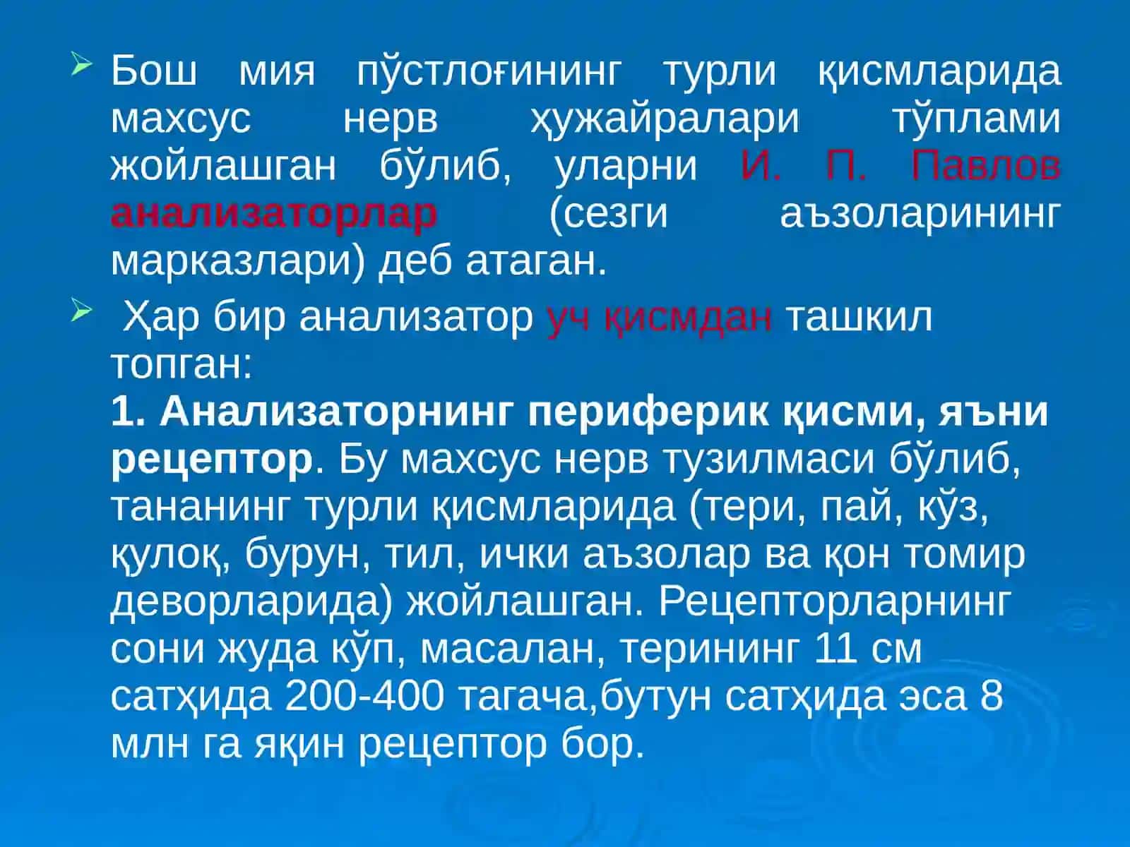 Аnalizatorlarning anatomiyasi, fiziologiyasi, yosh xususiyatlari va gigiyenasi 3