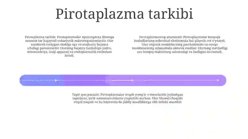 Pirotapilazmani Nechi Foizi Suvni Tashkil Qiladi 3