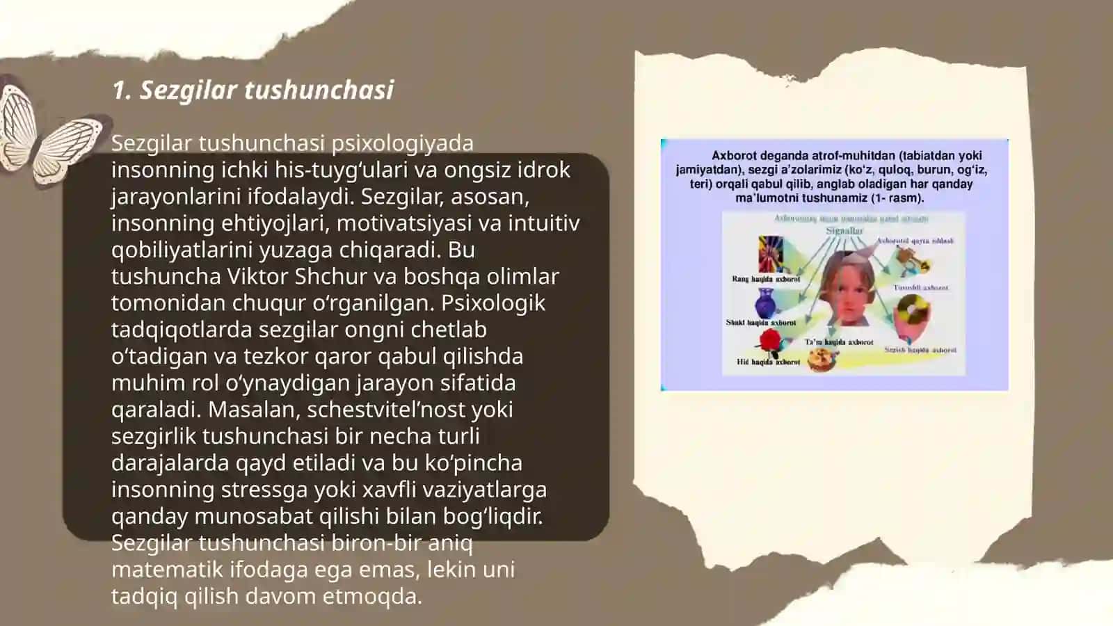 Sezgilar haqida umumiy tushuncha va uning nerv fiziologik asosi 3
