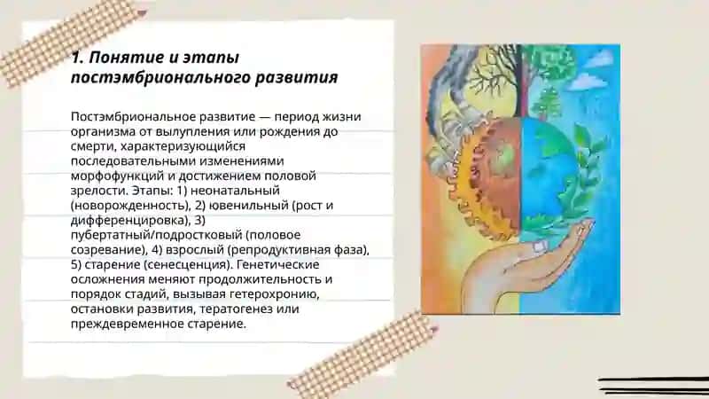 Постэмбриональное развитие. Генетические осложнения 3