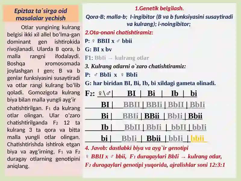 Epiztaz ta`sirga oid masalalar yechish 3