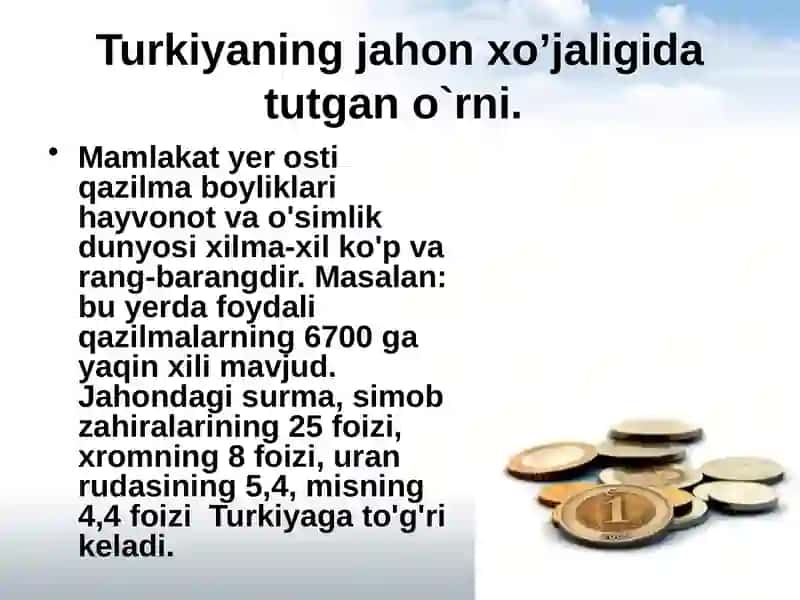 Turkiya DavlatiningMoliya Tizimi 3